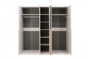 НИКОЛЬ 25 Шкаф 5-ти створчатый в Златоусте - zlatoust.mebel24.online | фото 3