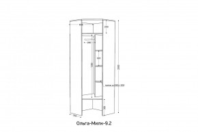 ОЛЬГА-МИЛК 9.2 Шкаф угловой с зеркалом в Златоусте - zlatoust.mebel24.online | фото 2