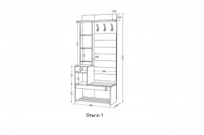 ОЛЬГА Прихожая (модульная) в Златоусте - zlatoust.mebel24.online | фото 3