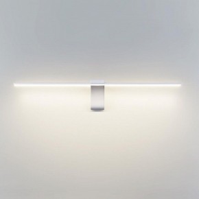 Подсветка для картины Odeon Light Tiny 7070/8WL в Златоусте - zlatoust.mebel24.online | фото 2