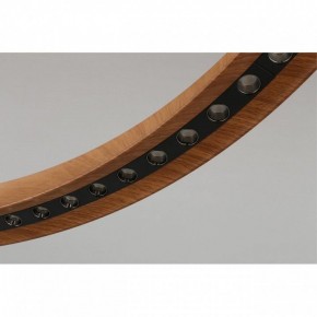 Подвесная люстра Aployt Justyna APL.787.03.75 в Златоусте - zlatoust.mebel24.online | фото 10