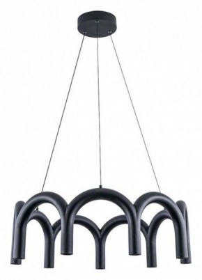 Подвесная люстра Arte Lamp Warhol A3258LM-45BK в Златоусте - zlatoust.mebel24.online | фото 2