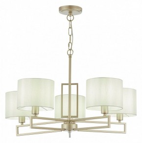 Подвесная люстра EVOLUCE Danae SLE105803-05 в Златоусте - zlatoust.mebel24.online | фото 2
