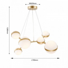 Подвесная люстра Favourite Asterismo 4448-6P в Златоусте - zlatoust.mebel24.online | фото 5