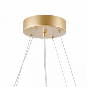 Подвесная люстра Favourite Asterismo 4448-6P в Златоусте - zlatoust.mebel24.online | фото 9