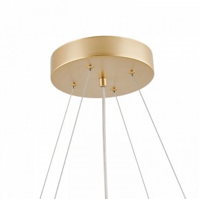 Подвесная люстра Favourite Asterismo 4448-8P в Златоусте - zlatoust.mebel24.online | фото 8