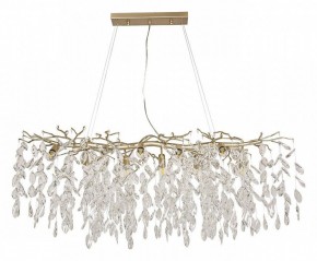 Подвесная люстра Favourite Brillo 3056-10P в Златоусте - zlatoust.mebel24.online | фото 2