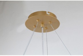 Подвесная люстра Favourite Ginkoa 4080-8P в Златоусте - zlatoust.mebel24.online | фото 10