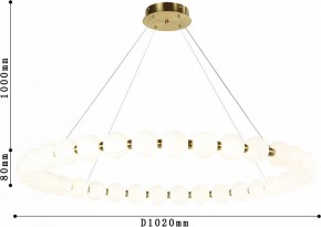 Подвесная люстра Favourite Gubbare 4014-10P в Златоусте - zlatoust.mebel24.online | фото 5