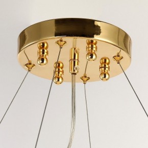 Подвесная люстра Favourite Inventio 2754-10P в Златоусте - zlatoust.mebel24.online | фото 6