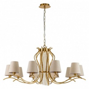 Подвесная люстра Favourite Ketten 2867-10P в Златоусте - zlatoust.mebel24.online | фото 2