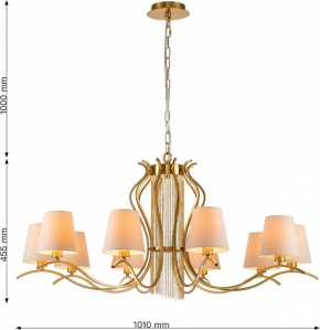 Подвесная люстра Favourite Ketten 2867-10P в Златоусте - zlatoust.mebel24.online | фото 4