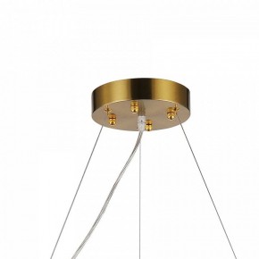 Подвесная люстра Favourite Magnitudo 2206-12P в Златоусте - zlatoust.mebel24.online | фото 7