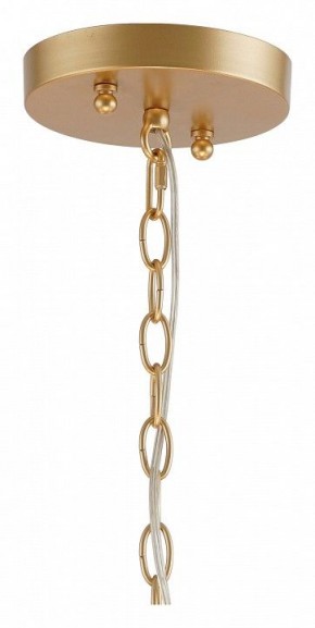 Подвесная люстра Favourite Mateo 2634-8P в Златоусте - zlatoust.mebel24.online | фото 12
