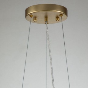 Подвесная люстра Favourite Rays 4058-14P в Златоусте - zlatoust.mebel24.online | фото 11
