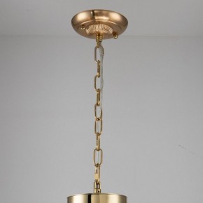 Подвесная люстра Favourite Rocca 2689-6P в Златоусте - zlatoust.mebel24.online | фото 4