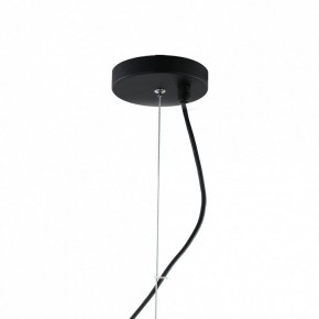 Подвесная люстра Favourite Traube 2359-6P в Златоусте - zlatoust.mebel24.online | фото 4