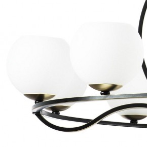 Подвесная люстра Lightstar Enna 762117 в Златоусте - zlatoust.mebel24.online | фото 4