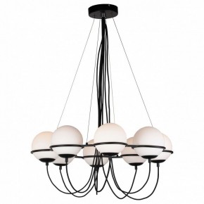 Подвесная люстра Lightstar Globo 803287 в Златоусте - zlatoust.mebel24.online | фото 2