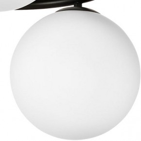Подвесная люстра Lightstar Globo 815097 в Златоусте - zlatoust.mebel24.online | фото 3