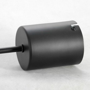 Подвесная люстра Lussole Duncan GRLSP-8252 в Златоусте - zlatoust.mebel24.online | фото 4