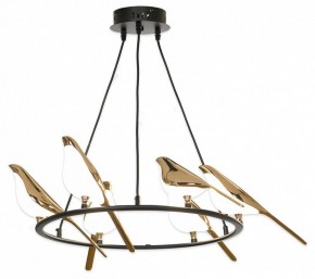 Подвесная люстра Lussole Jasper LSP-8641 в Златоусте - zlatoust.mebel24.online | фото 2