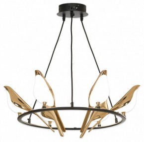 Подвесная люстра Lussole Jasper LSP-8641 в Златоусте - zlatoust.mebel24.online | фото 4