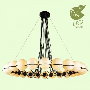 Подвесная люстра Lussole Seneca GRLSP-8176 в Златоусте - zlatoust.mebel24.online | фото 3