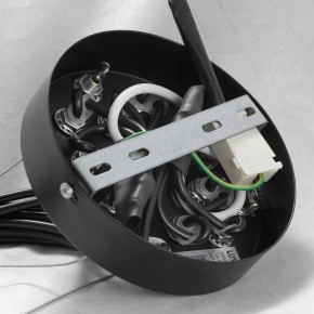 Подвесная люстра Lussole Seneca GRLSP-8177 в Златоусте - zlatoust.mebel24.online | фото 10
