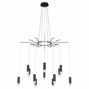 Подвесная люстра Maytoni Davida MOD035PL-12B в Златоусте - zlatoust.mebel24.online | фото 2