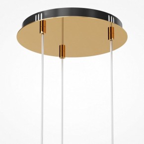 Подвесная люстра Maytoni Drop MOD273PL-L33G3K в Златоусте - zlatoust.mebel24.online | фото 6