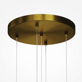 Подвесная люстра Maytoni Frozen MOD254PL-05BS в Златоусте - zlatoust.mebel24.online | фото 4
