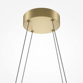 Подвесная люстра Maytoni Halo MOD244PL-L50BSK в Златоусте - zlatoust.mebel24.online | фото 4