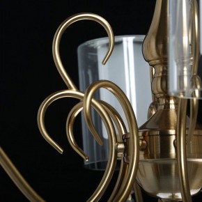 Подвесная люстра MW-Light Эллегия 8 303012708 в Златоусте - zlatoust.mebel24.online | фото 7