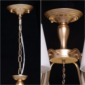 Подвесная люстра MW-Light Вега 6 329012206 в Златоусте - zlatoust.mebel24.online | фото 13