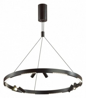 Подвесная люстра Odeon Light Beveren 6683/103L в Златоусте - zlatoust.mebel24.online | фото 2