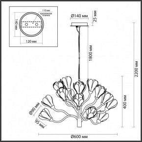 Подвесная люстра Odeon Light Gardi 5090/15 в Златоусте - zlatoust.mebel24.online | фото 6