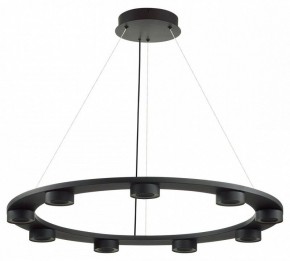 Подвесная люстра Odeon Light Turman 6631/75L в Златоусте - zlatoust.mebel24.online | фото 2
