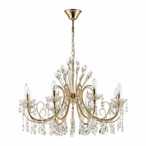 Подвесная люстра Odeon Light Versia 4977/8 в Златоусте - zlatoust.mebel24.online | фото 3