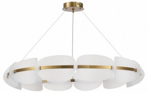 Подвесная люстра ST-Luce Etoile SL1304.203.65 в Златоусте - zlatoust.mebel24.online | фото 3