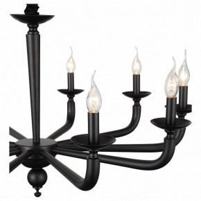 Подвесная люстра ST-Luce SL1114 SL1114.403.10 в Златоусте - zlatoust.mebel24.online | фото 4