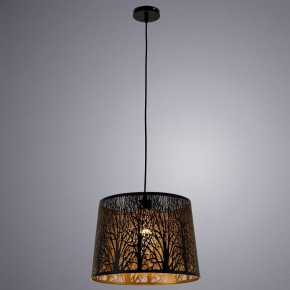 Подвесной светильник Arte Lamp Celesta A2769SP-1BK в Златоусте - zlatoust.mebel24.online | фото 3