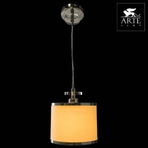 Подвесной светильник Arte Lamp Furore A3990SP-1CC в Златоусте - zlatoust.mebel24.online | фото 3