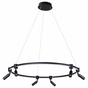 Подвесной светильник Arte Lamp Ring A2186SP-1BK в Златоусте - zlatoust.mebel24.online | фото 2