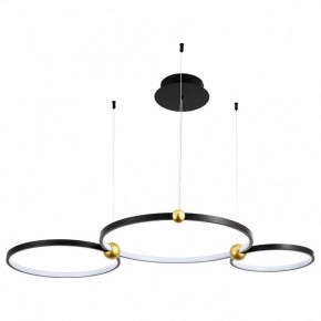 Подвесной светильник Divinare Amadeo 1123/04 SP-75 в Златоусте - zlatoust.mebel24.online | фото