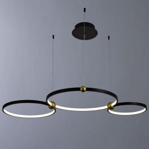 Подвесной светильник Divinare Amadeo 1123/04 SP-75 в Златоусте - zlatoust.mebel24.online | фото 2