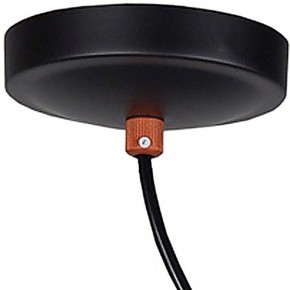 Подвесной светильник Favourite Ampolla 2007-1P в Златоусте - zlatoust.mebel24.online | фото 4