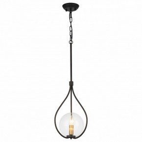 Подвесной светильник Favourite Kessel 1905-1P в Златоусте - zlatoust.mebel24.online | фото 2