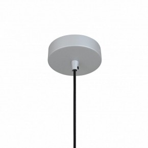 Подвесной светильник Favourite Otium 2270-1P в Златоусте - zlatoust.mebel24.online | фото 4