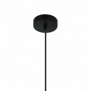 Подвесной светильник Favourite Sonnenblume 2356-2P в Златоусте - zlatoust.mebel24.online | фото 4
